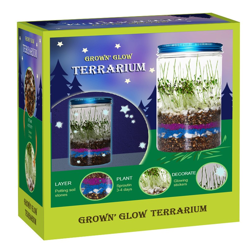 Science Nursery - Indoor plantenbakset voor kinderen, mini-kweektuin voor