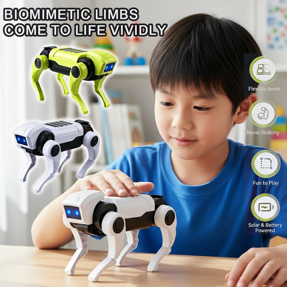 DIY-montage RC Robot Hond Spee - Science Toys Diy recensie en prijs