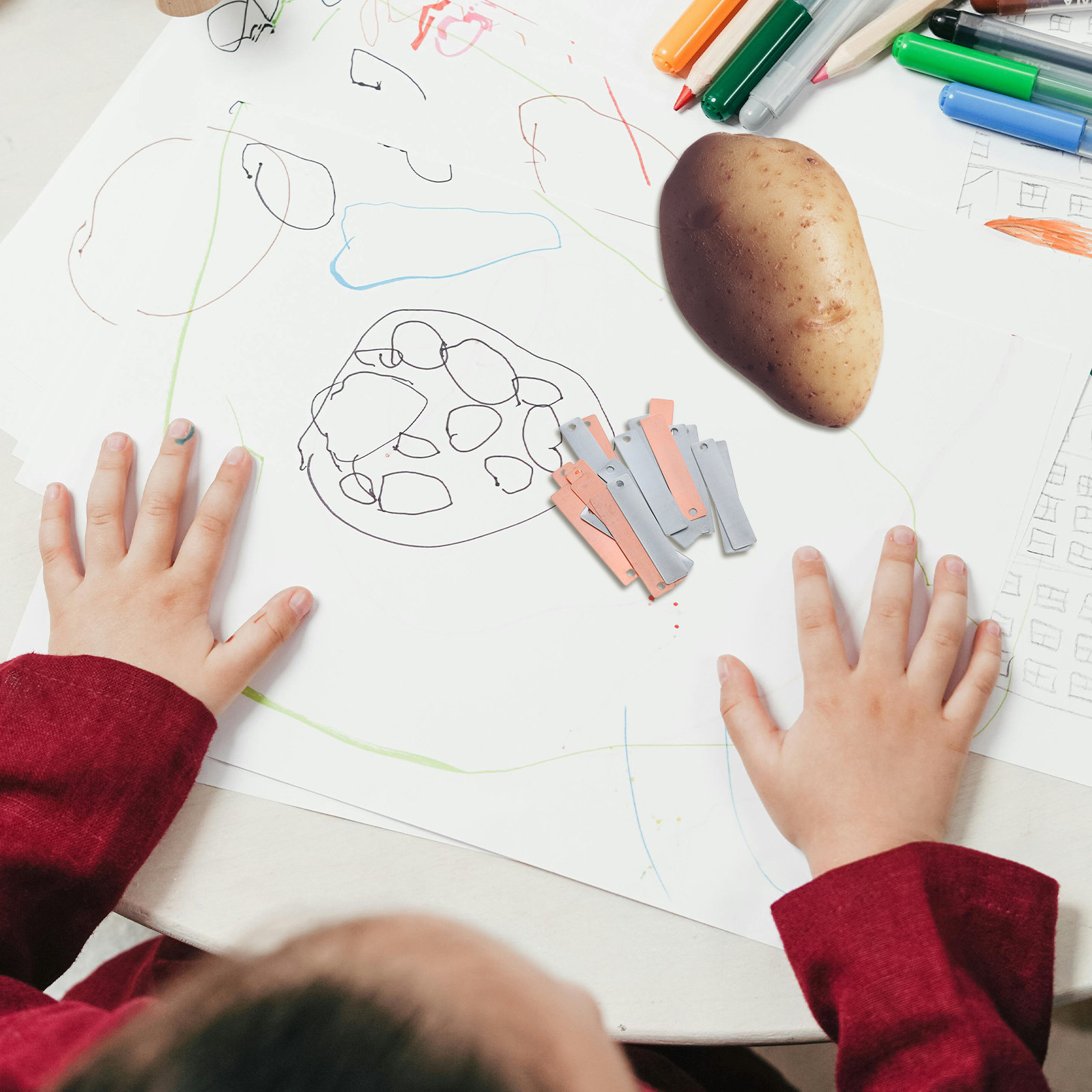 Koper- en zinkelektrodeplaten  - Science Kit recensie en prijs