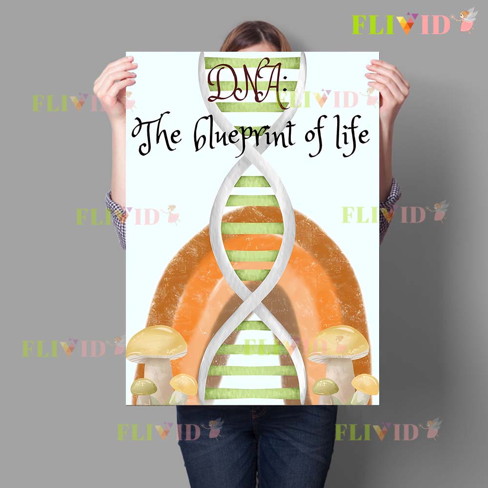 Kwekerij Celbiologie Wetenscha - Science Nursery recensie en prijs
