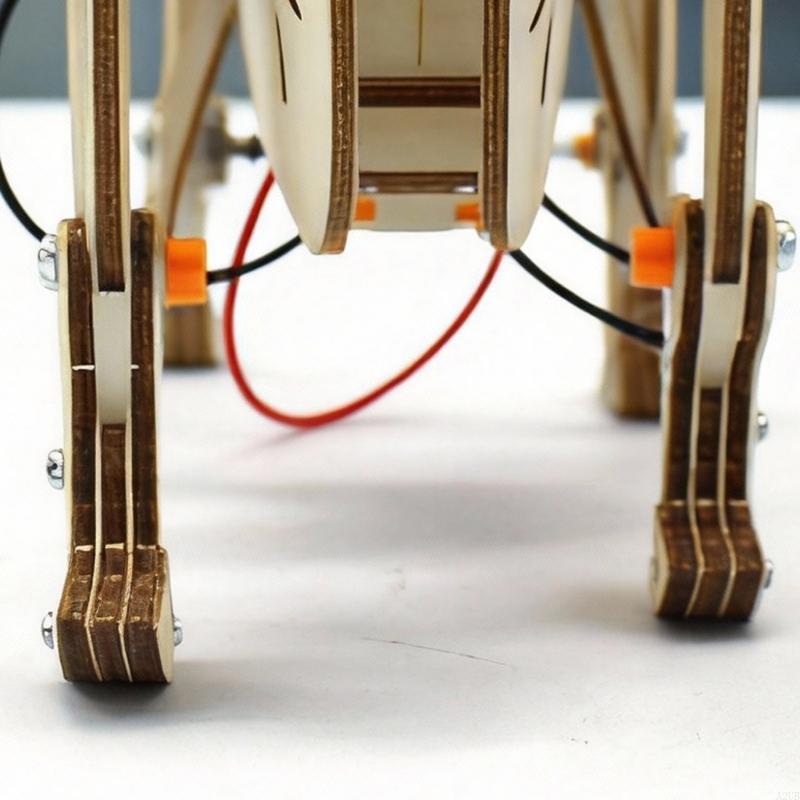 Houten mechanische robotvee Sc - Science Project Robot recensie en prijs